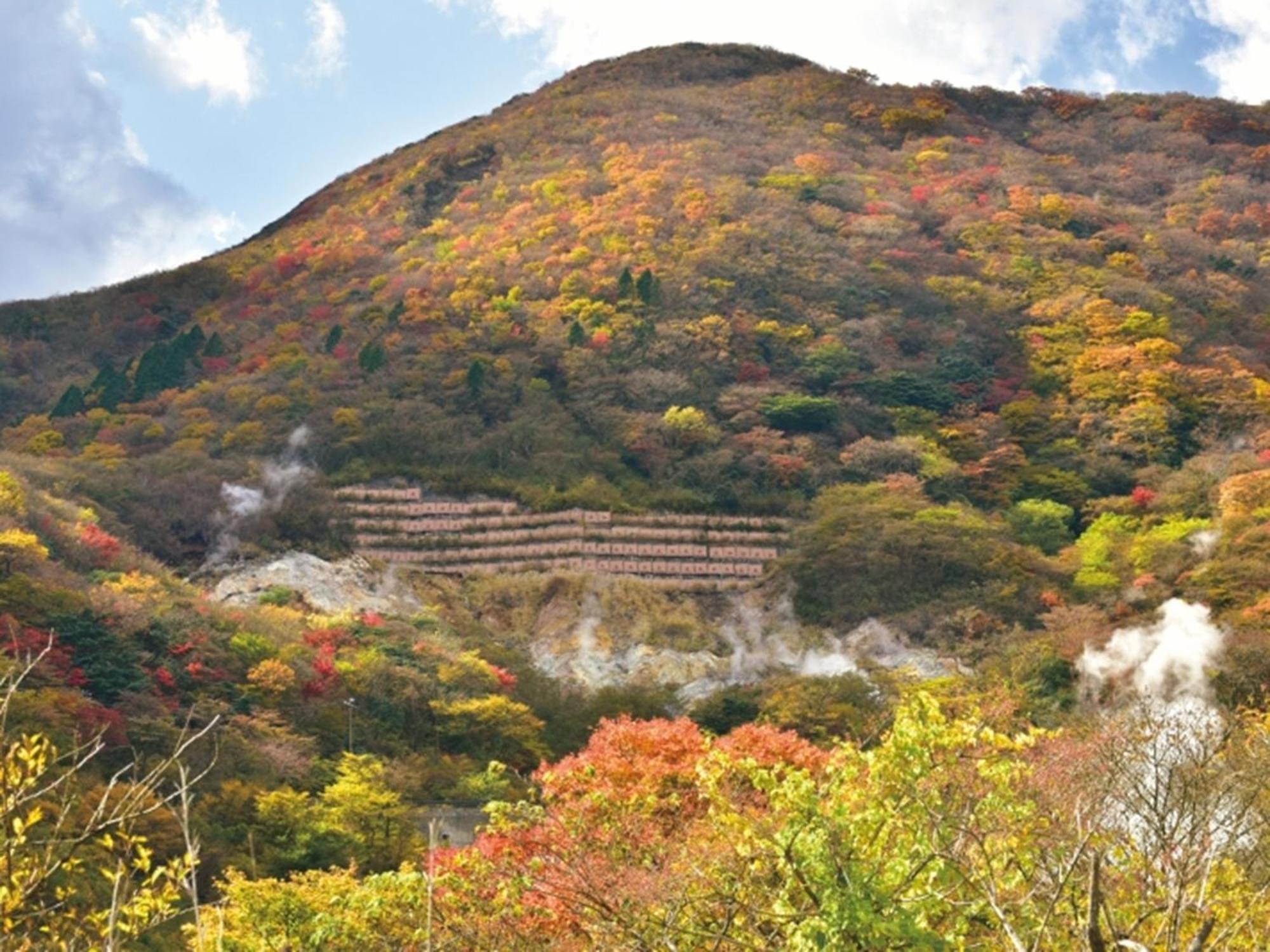 Hakone Yunohana Prince Hotel Kanagawa Экстерьер фото