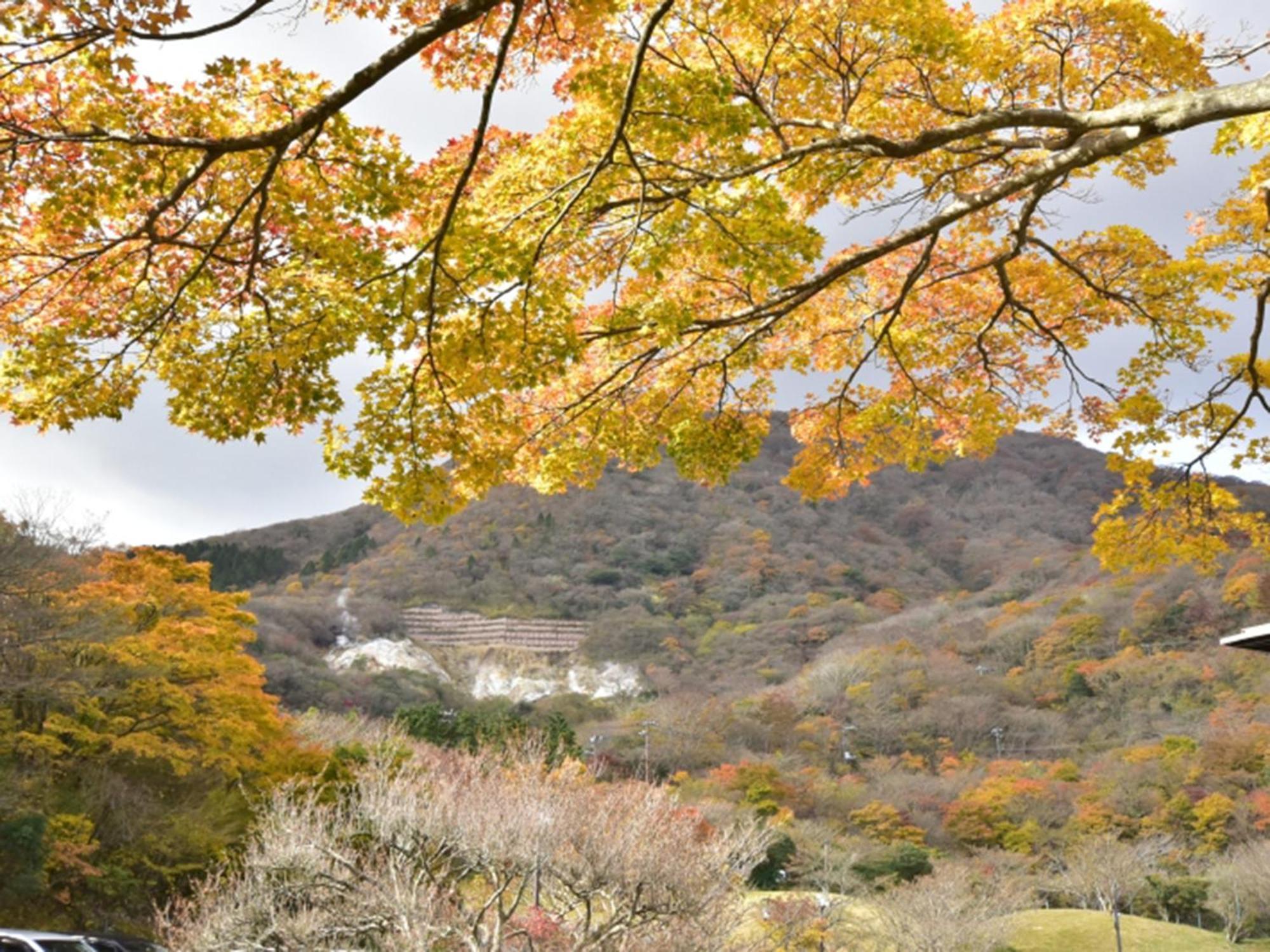 Hakone Yunohana Prince Hotel Kanagawa Экстерьер фото