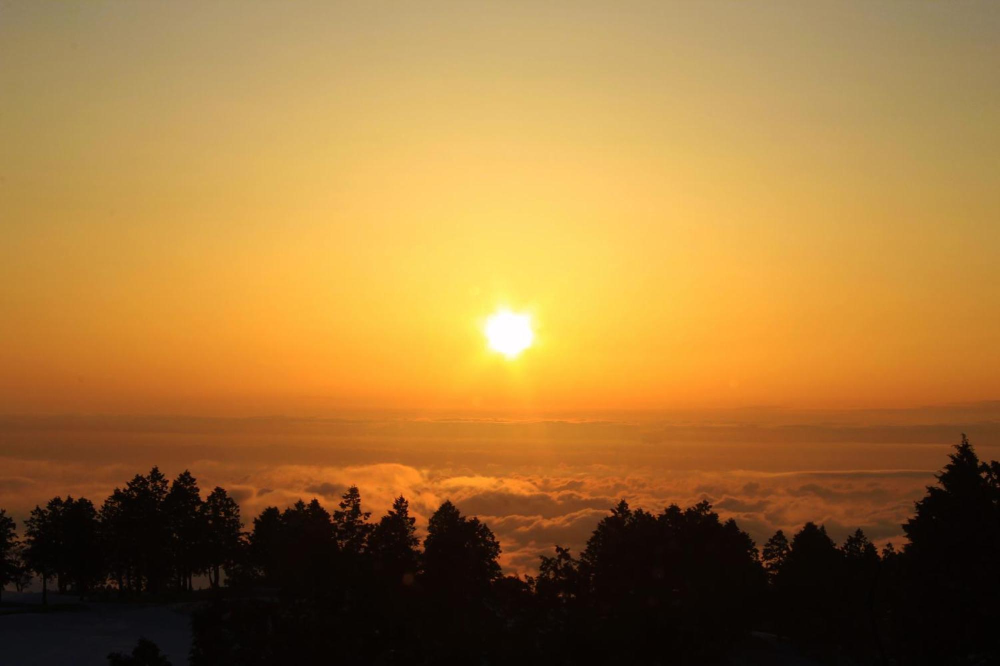 Hakone Yunohana Prince Hotel Kanagawa Экстерьер фото